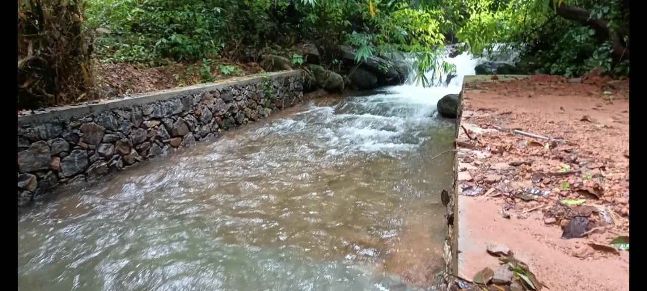 Forest And River Edge Resort Каннур Экстерьер фото