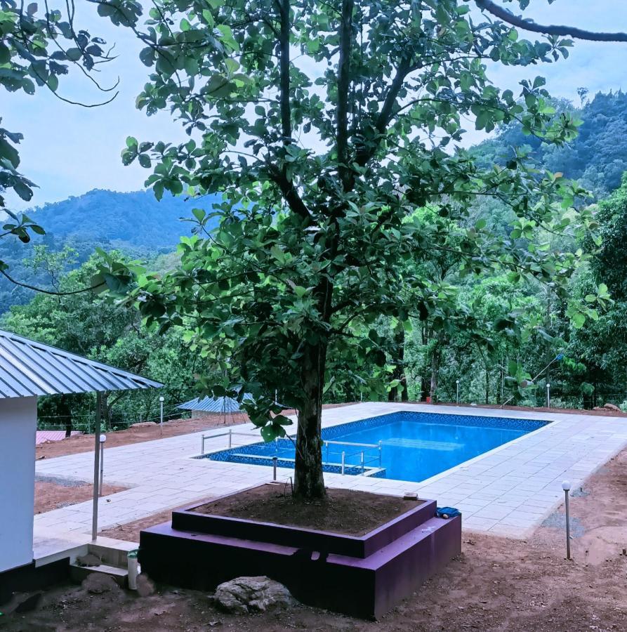 Forest And River Edge Resort Каннур Экстерьер фото
